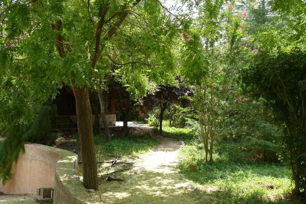 Casa En El Campo Con Encanto Almansa Zewnętrze zdjęcie
